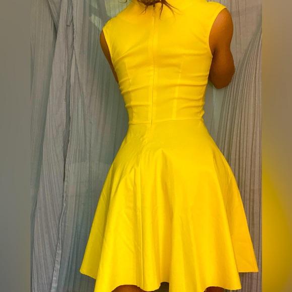Pretty Yellow mid length dress with a cinched waist - Picture 2 of 4